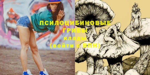 крисы Строитель